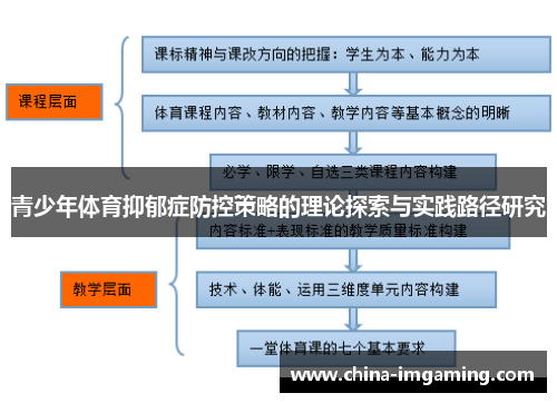 青少年体育抑郁症防控策略的理论探索与实践路径研究