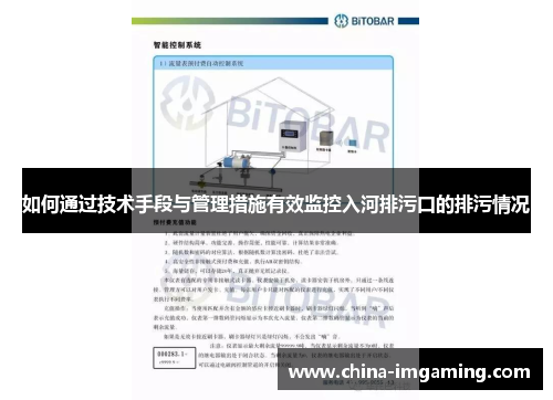 如何通过技术手段与管理措施有效监控入河排污口的排污情况